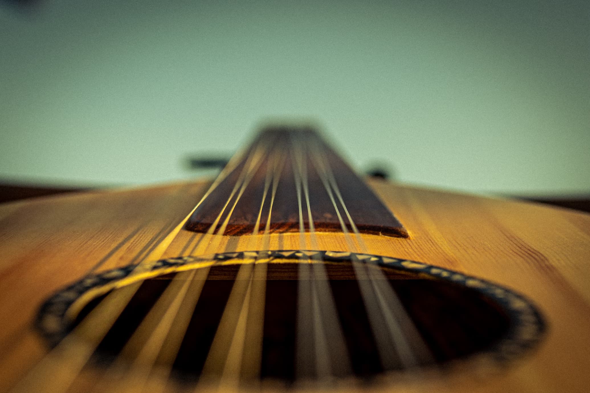 Guitar